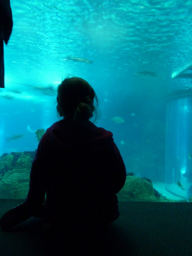 L'aquarium à Lisbonne, visite incontournable en famille