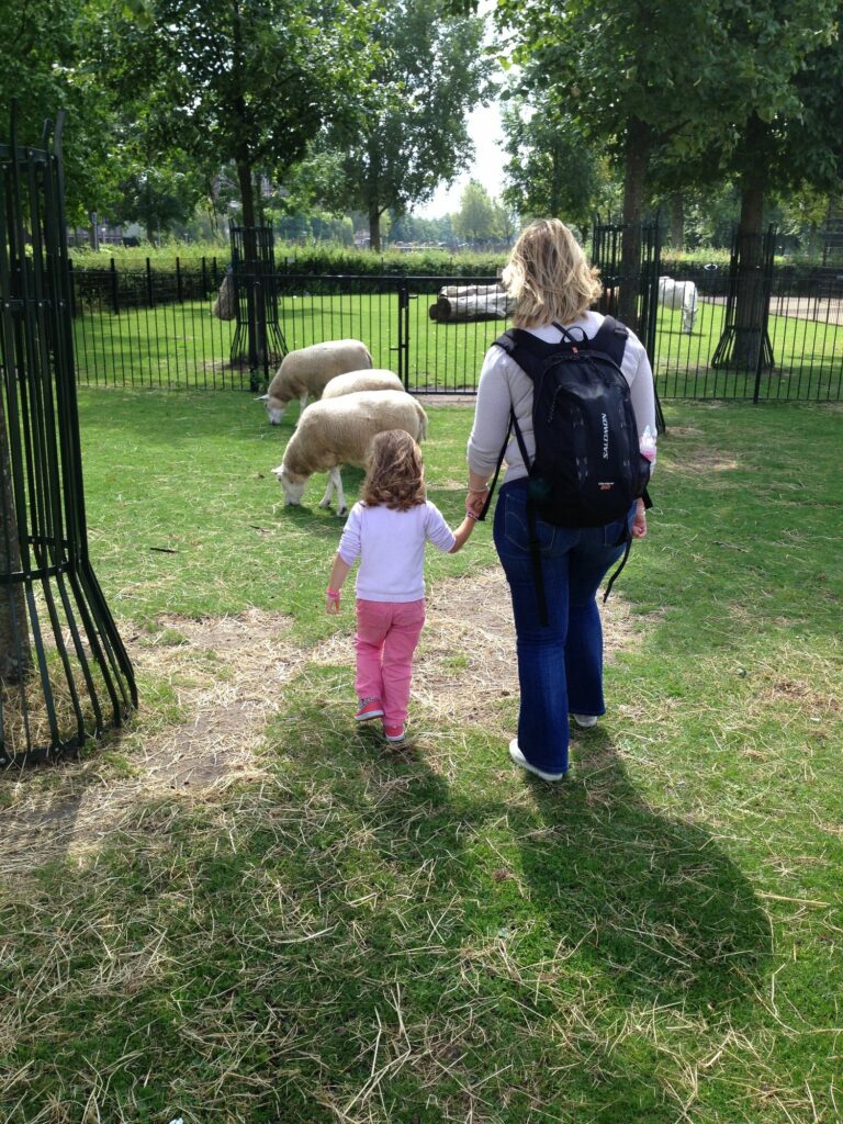 Kinderboerderij à Amsterdam : une sympathique activité en famille