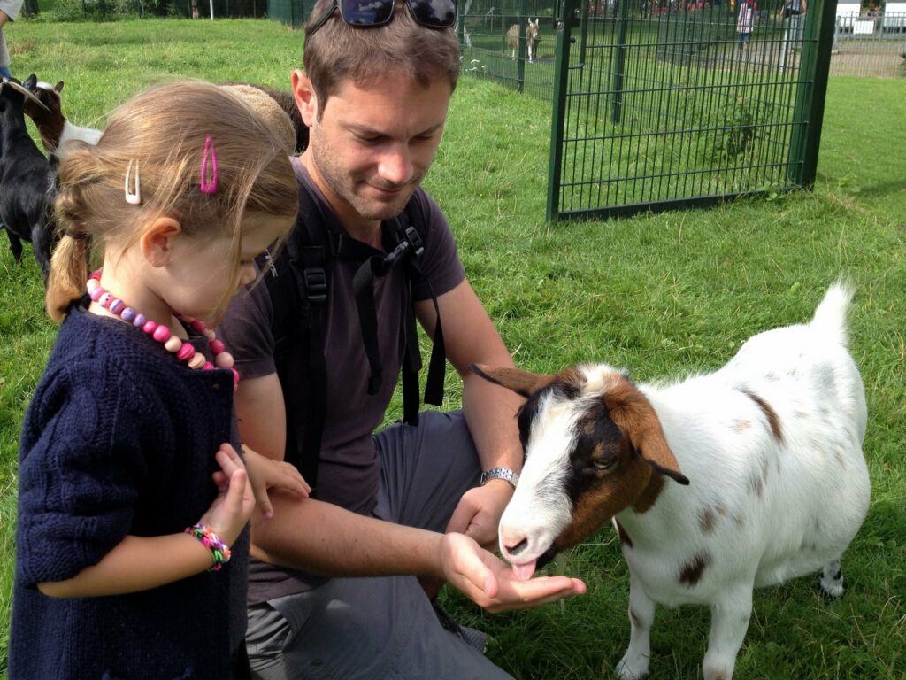 Les enfants peuvent caresser les chèvres.