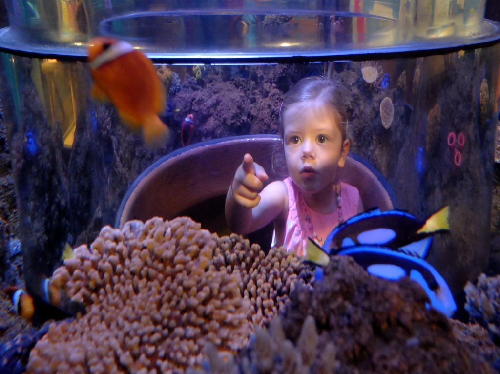 Aquarium SeaLife Porto : une visite parfaite avec un enfant