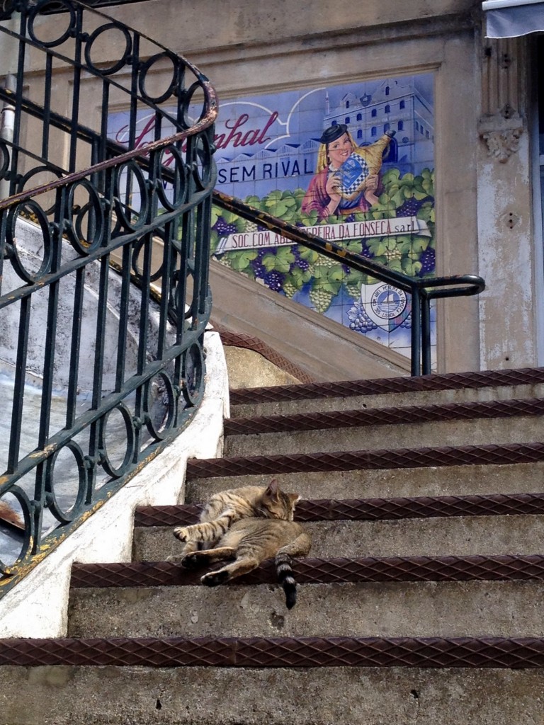 Mercado do Bolhão (Porto)