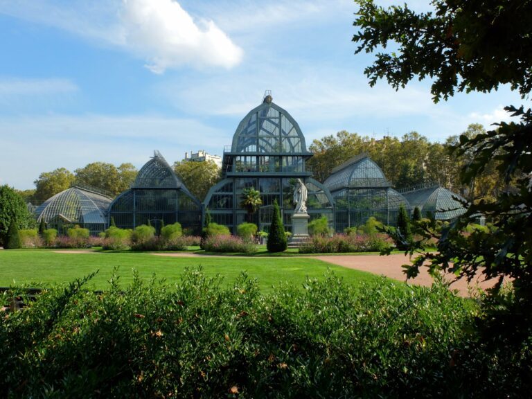 Le Parc de la Tête d’Or, à travers les yeux d’une enfant Serres du parc de la tête d'or