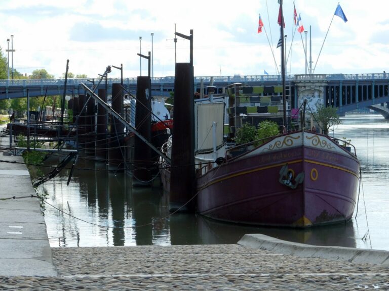 Balade lyonnaise : les Berges du Rhône Les péniches se succèdent