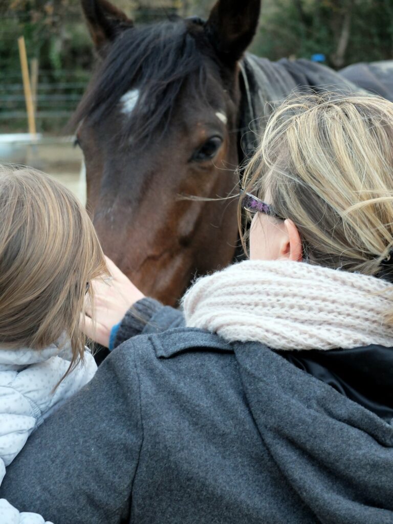 Rencontres avec des chevaux et poneys sur le sentier de la Draille