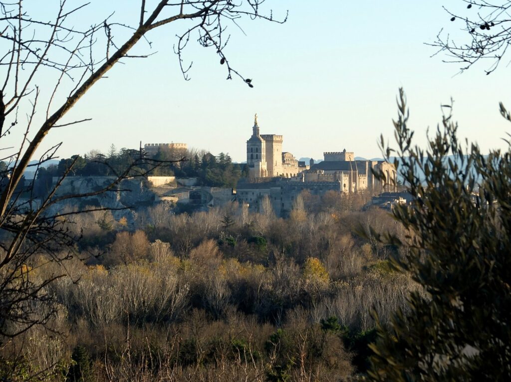 Vue sur Avgnon, depuis Villeneuve-lez-Avignon