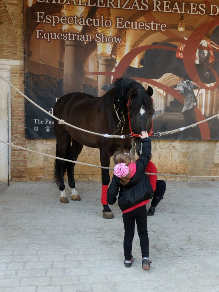 Chloé visite les écuries royales