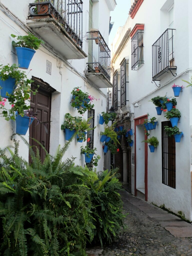 Calle des Las Flores