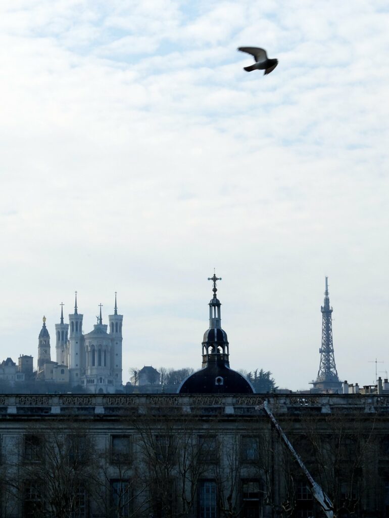 Basilique de Fourvière, Hôtel-Dieu, Tour métallique de Fourvière (vue depuis le Rhône)