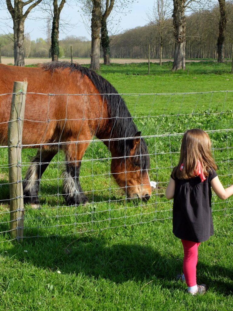 Chloé admire un cheval à la ferme de Gally
