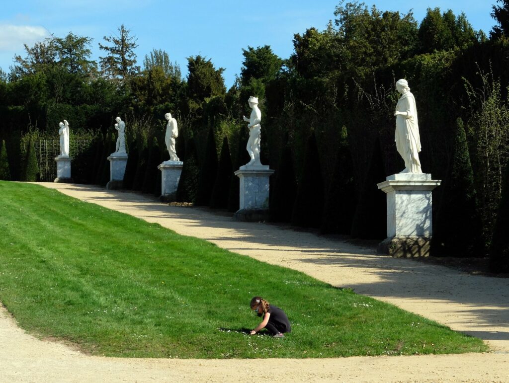 Cueillette de marguerite dans les jardins du château