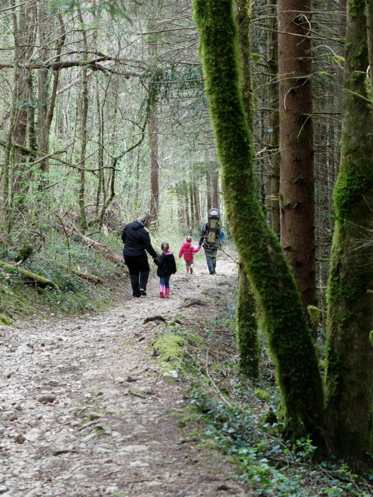 promenons nous dans les bois