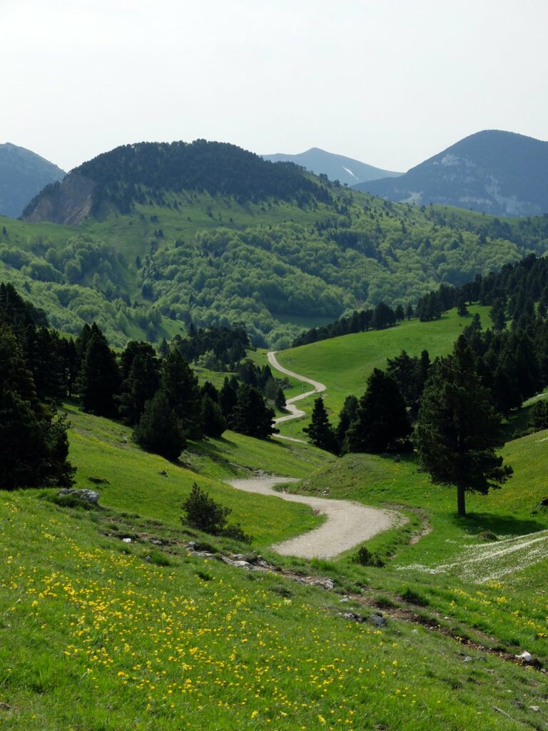 Sur le chemin de la Tête Chevalière (bis)