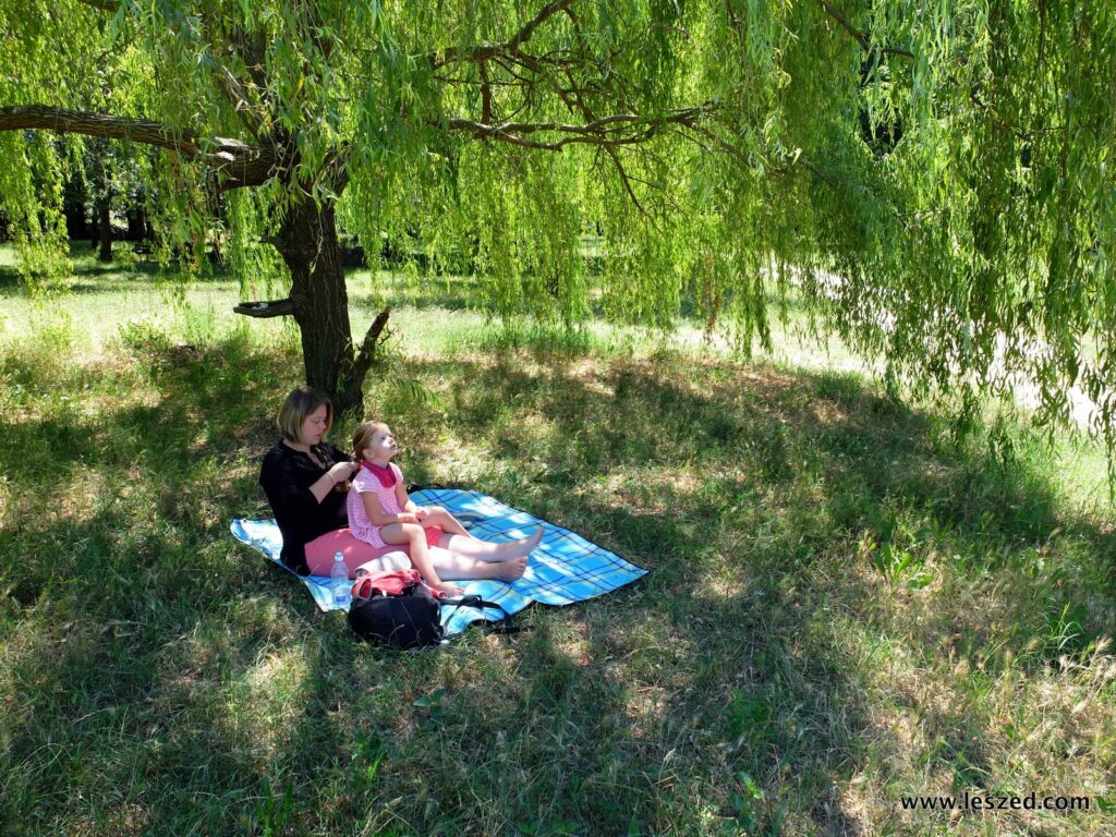 Area Vul : pause pique-nique et séance de coiffure