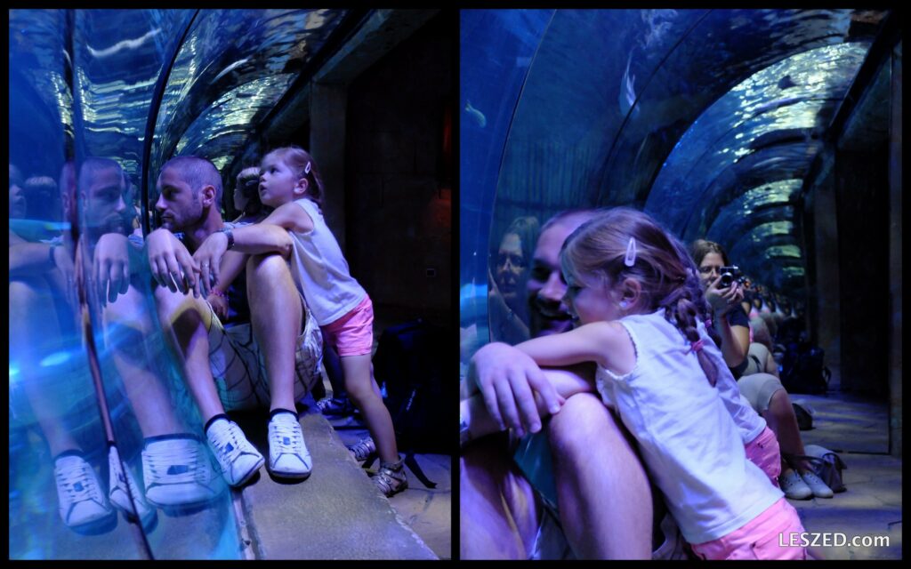 Max et Chloé, très inspirés (Sealife)