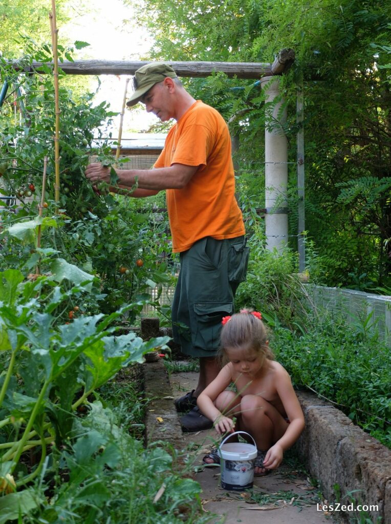 S'occuper d'un potager (Vérone)