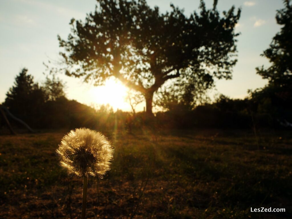 Levé de soleil depuis notre nouveau jardin