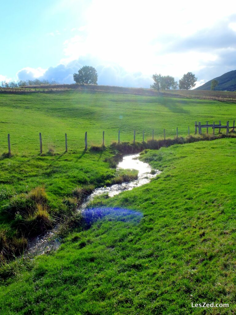 Paysage du Pilat, au milieu des prairies de La Chapelle-Villars