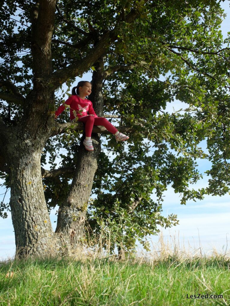 Chloé à la conquête des arbres du Pilat