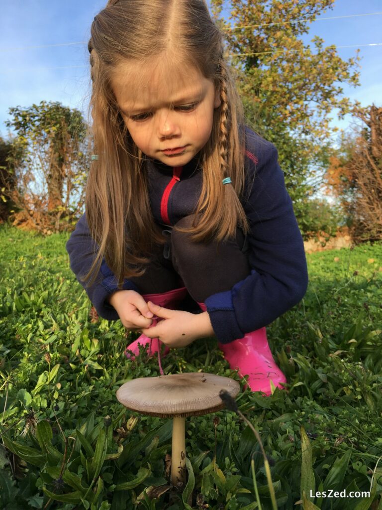 Chloé explore le jardin