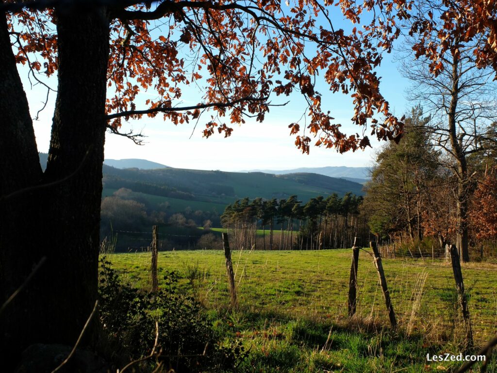 Paysage bucolique du Parc Naturel Régional du Pilat