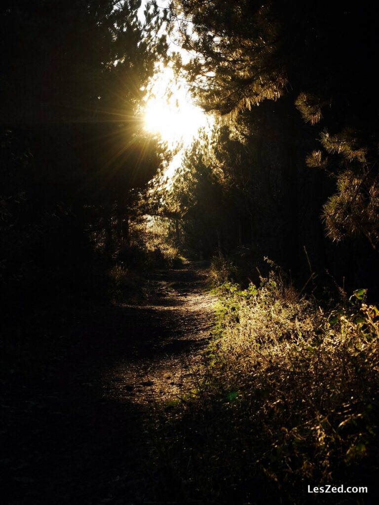 La lumière rasante illumine mon chemin (Mon Ministre - Parc du Pilat)