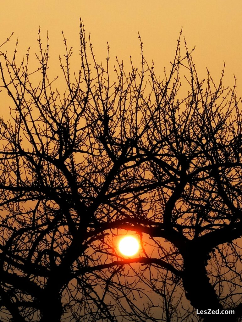 On sort au petit matin, faire quelques clichés du lever de soleil 