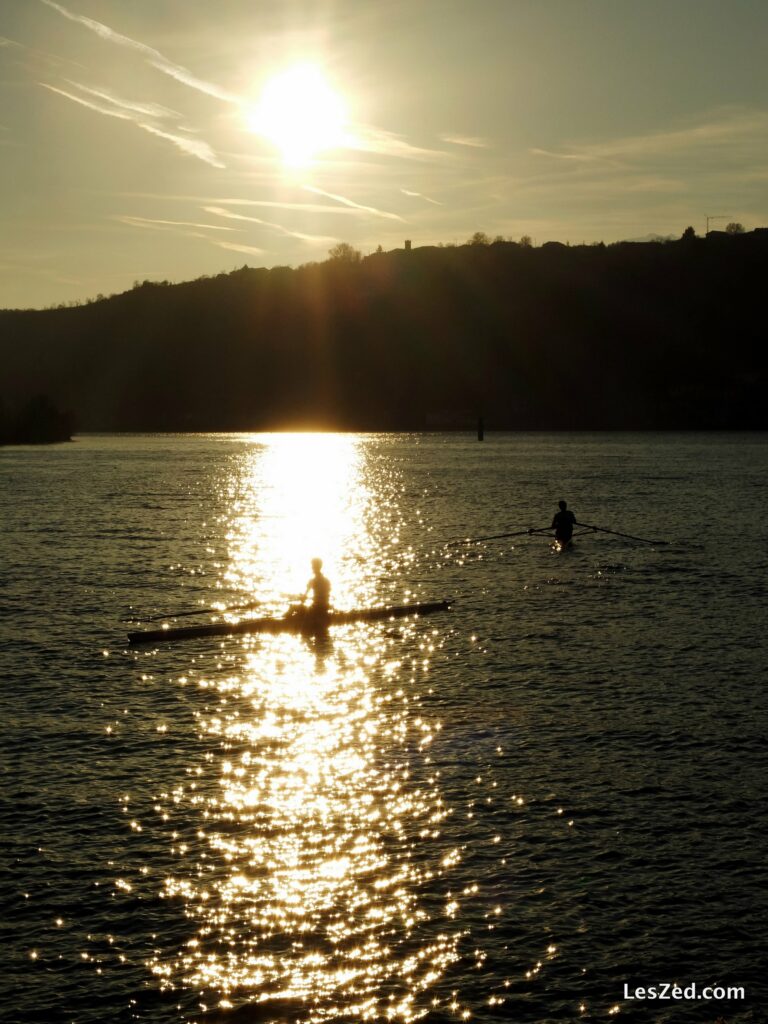 Avirons au coucher de soleil - Berges du Rhône à Condrieu