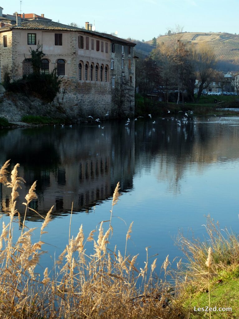 Reflet dans l'eau - Saint-Pierre-de-Bœuf