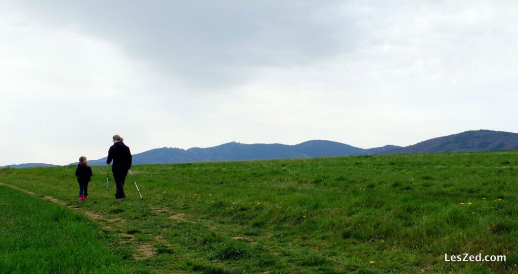 Randonnée bucolique à travers les prairies du Pilat