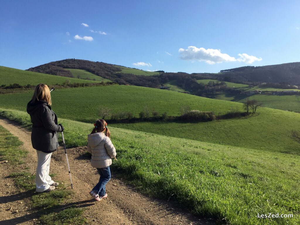 Vue verdoyante sur les collines