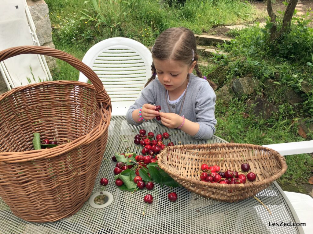 Au printemps, on cueille aussi les cerises