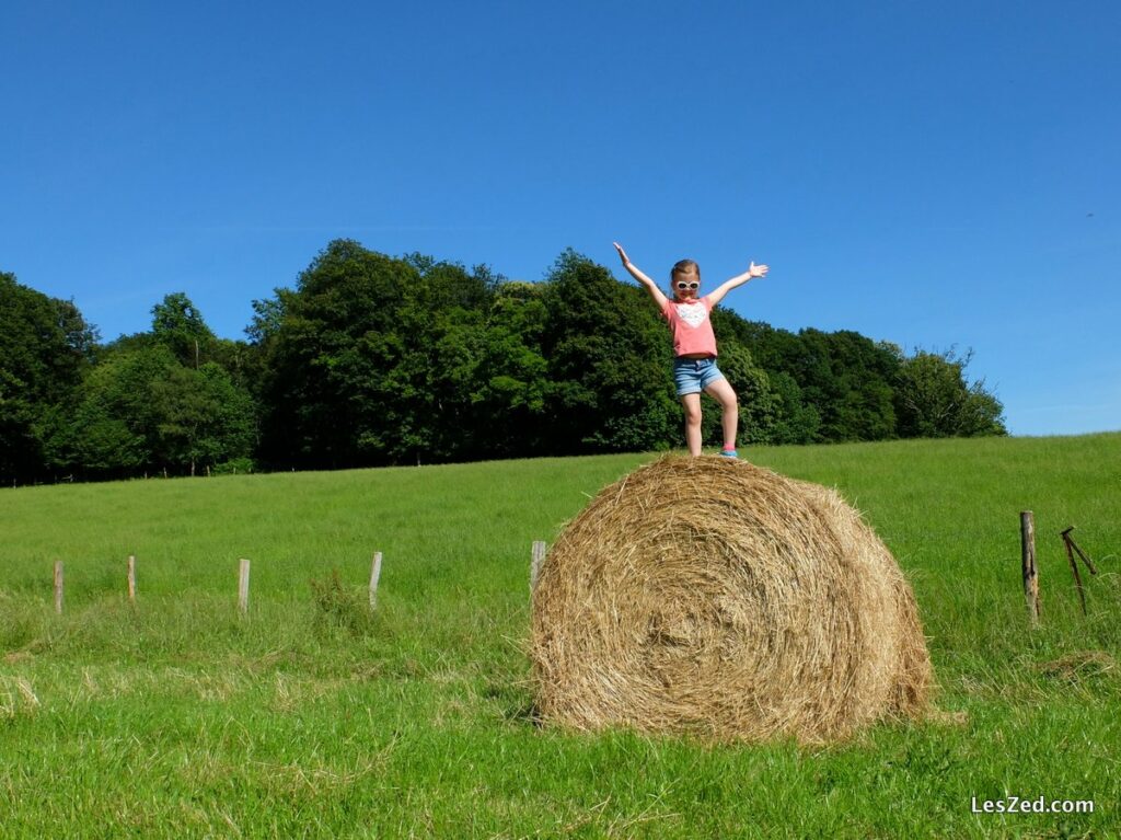 La campagne normande, ça vous gagne !