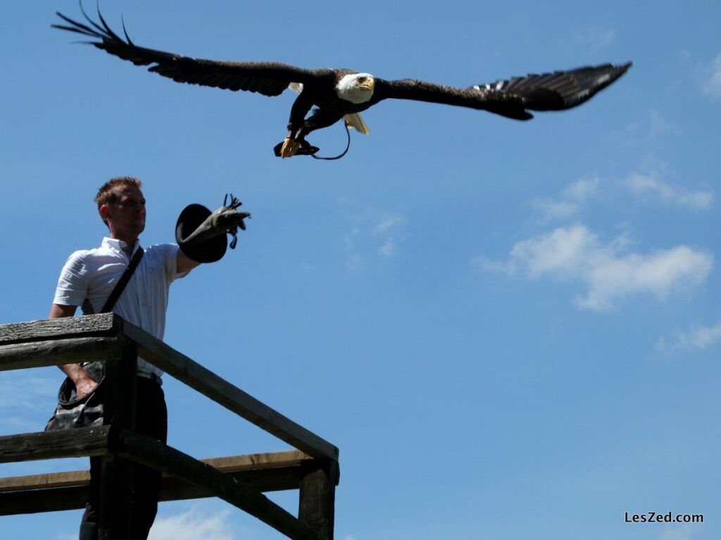 Spectacle au Bois Des Aigles