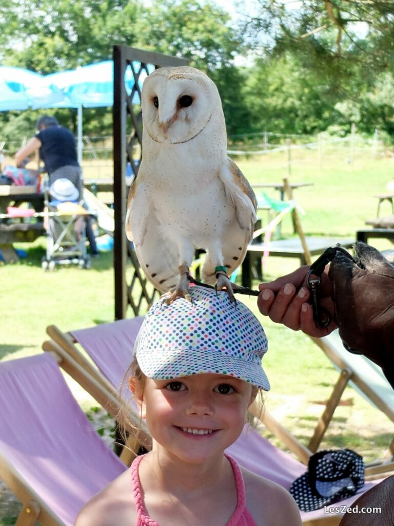 Contact avec les rapaces (Chloé)