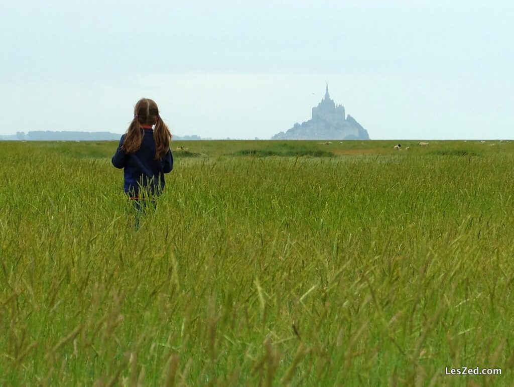 Vue sur le Mont-Saint-Michel depuis Gué de l’épine, à Val St Père