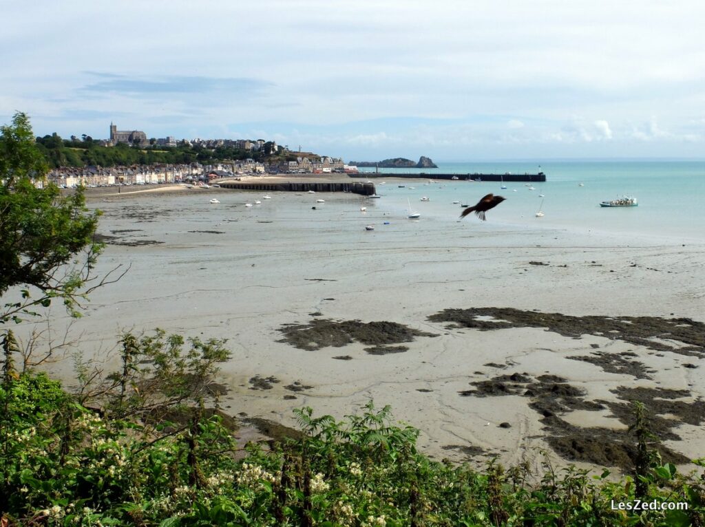 Vue sur Cancale et son port