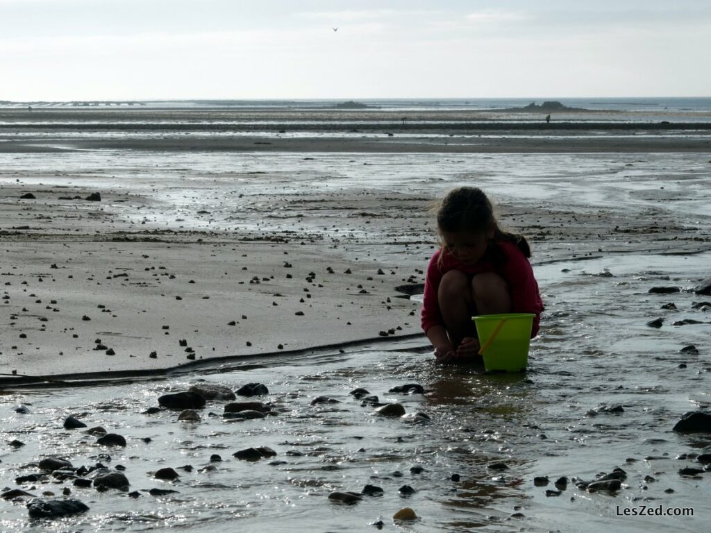 Plages de la Manches