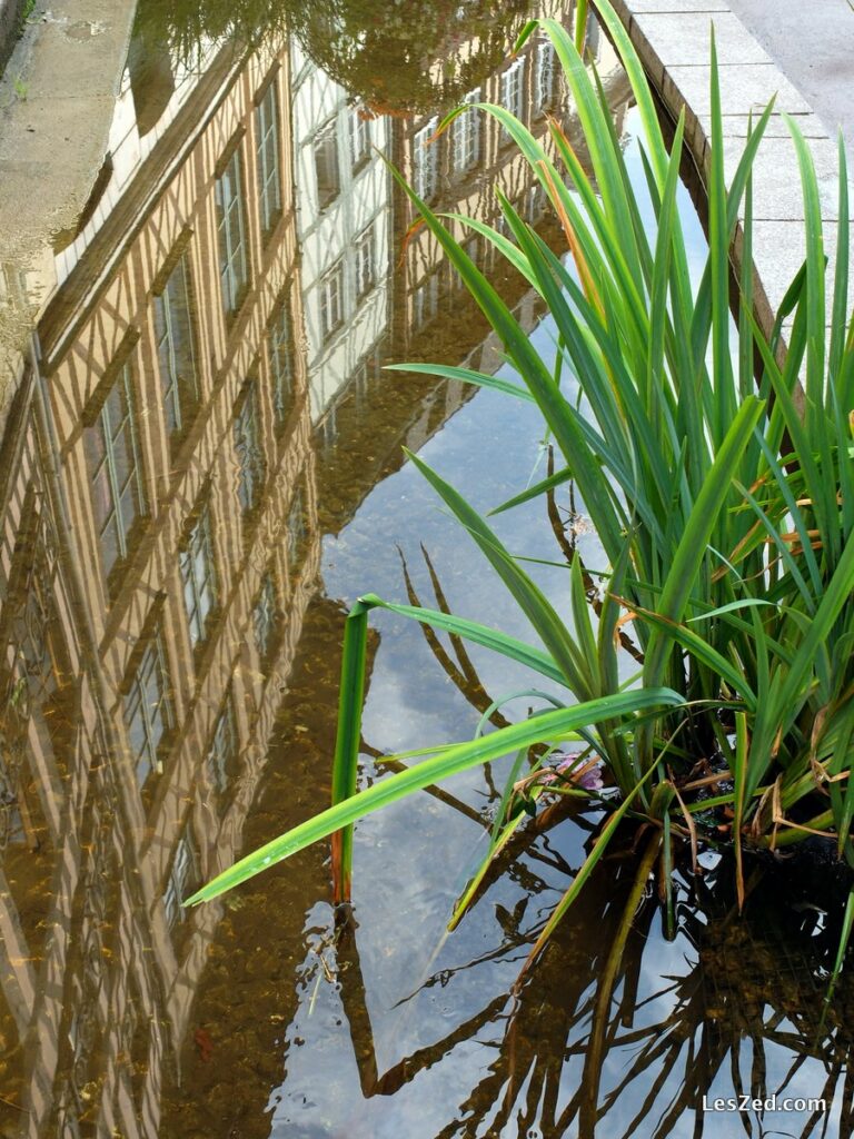 Rouen : reflet rue Eau de Robec