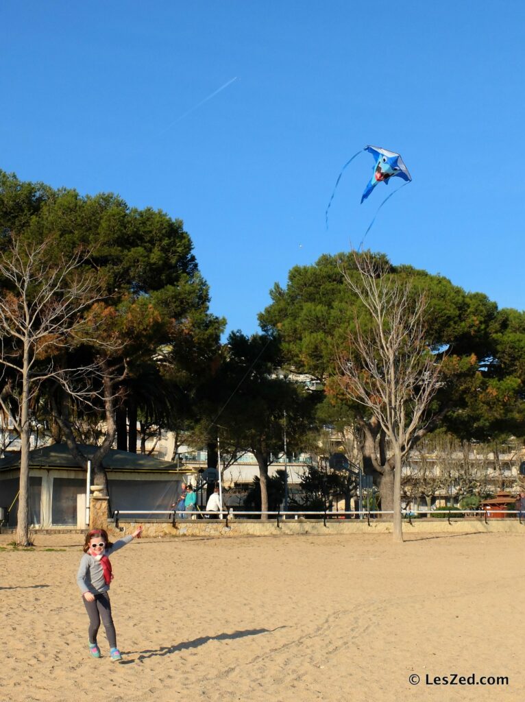 Cerf-volant sur la plage