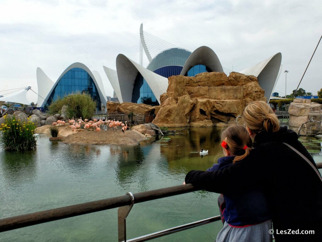 L’Oceanogràfic de Valencia