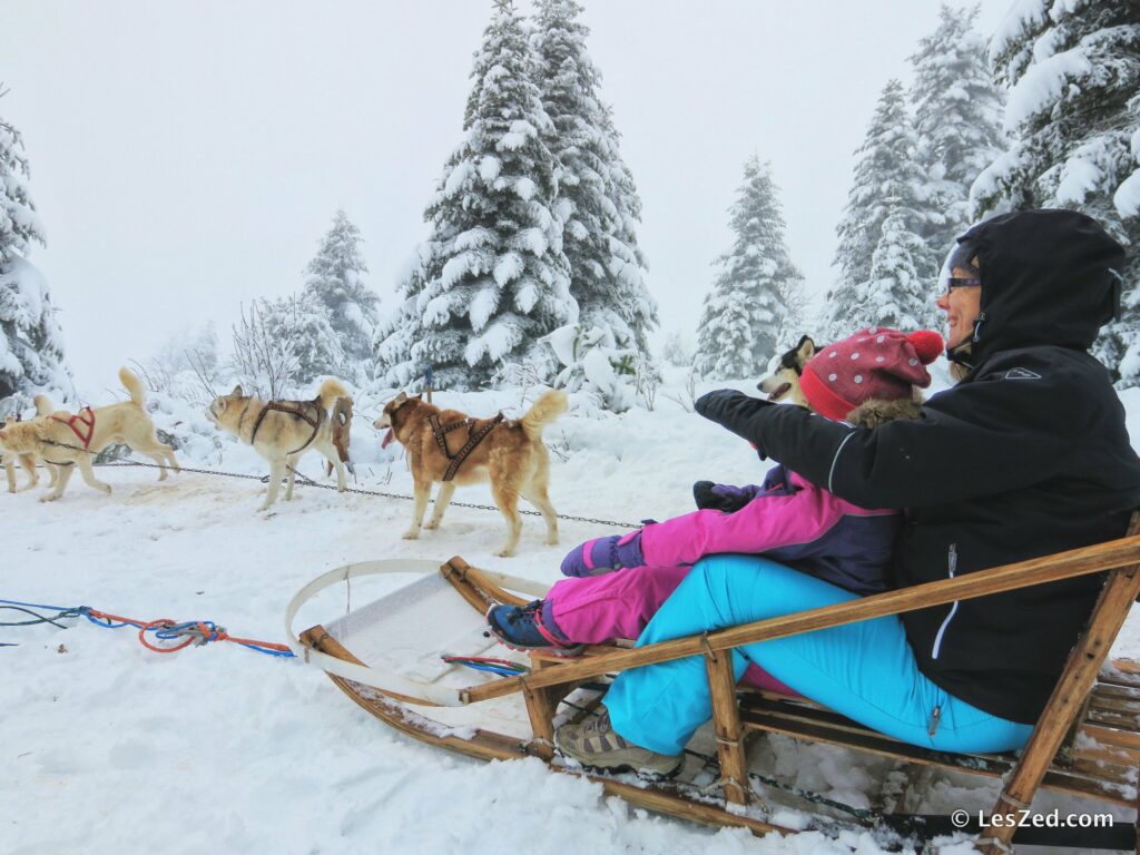 Balade en chiens de traîneau au col de la Loge