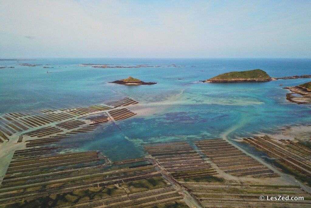 Les parcs à huitres vus du ciel