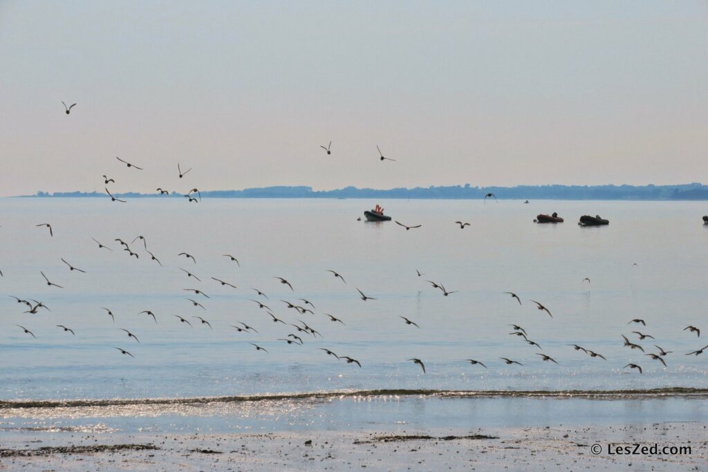 On admire la mer bretonne une dernière fois, avant de reprendre la route des terres