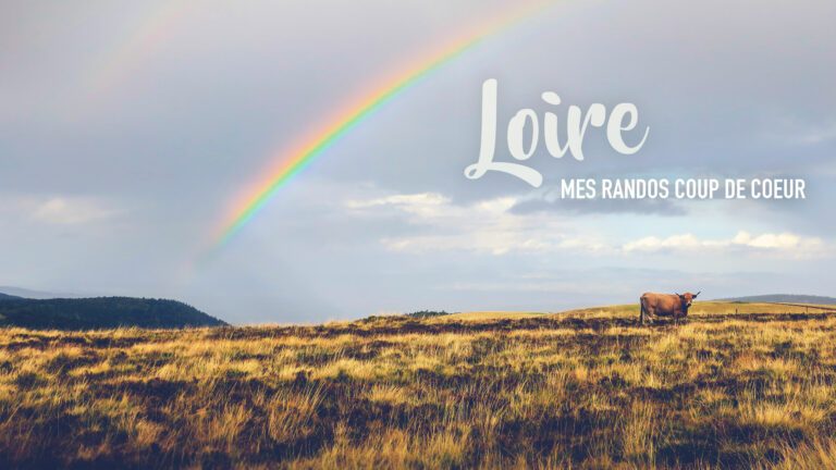 Mes 3 randonnées coup de coeur dans la Loire Loire : randos coup de coeurs
