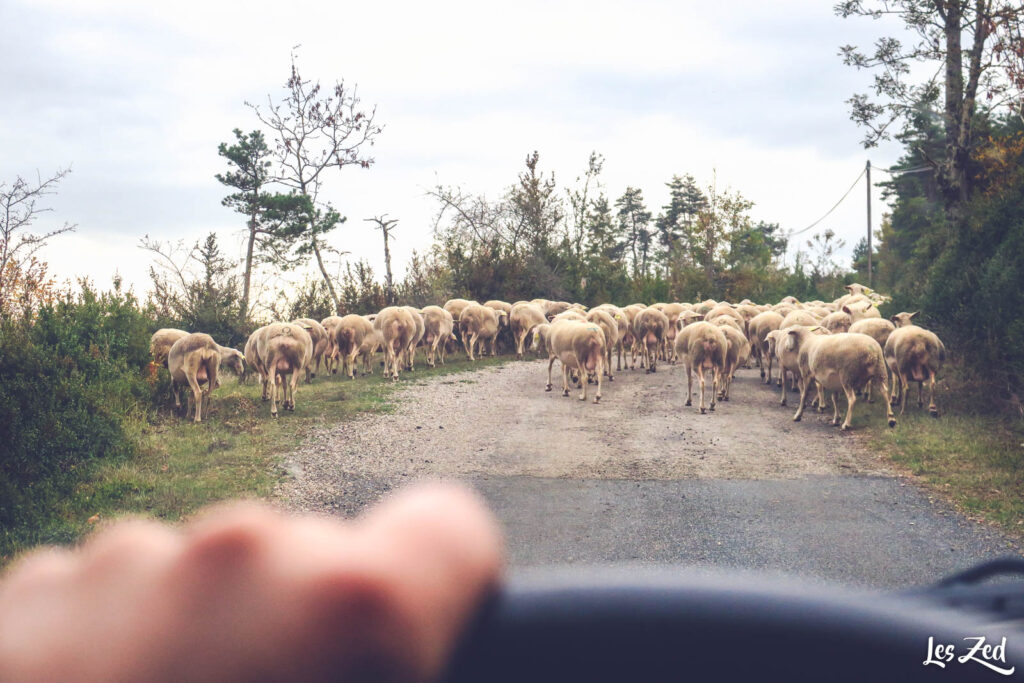 Embouteillage en Lozère