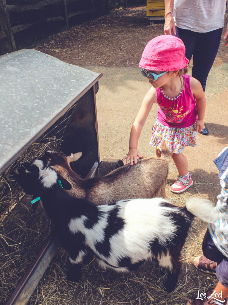 Londres Zoo chevres enfant