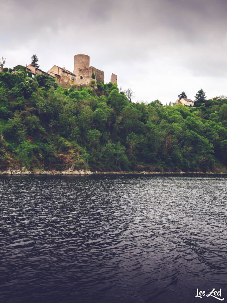 Saint-Jean-Saint-Maurice-sur-Loire vu depuis la Loire (bateau)