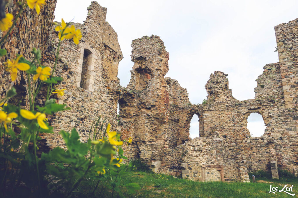 Château des Cornes d’Urfé, intérieur et ruines