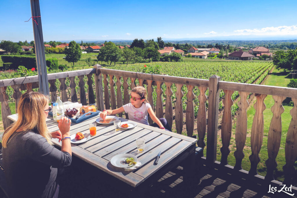 Terrasse du gîte du Domaine Delabaude