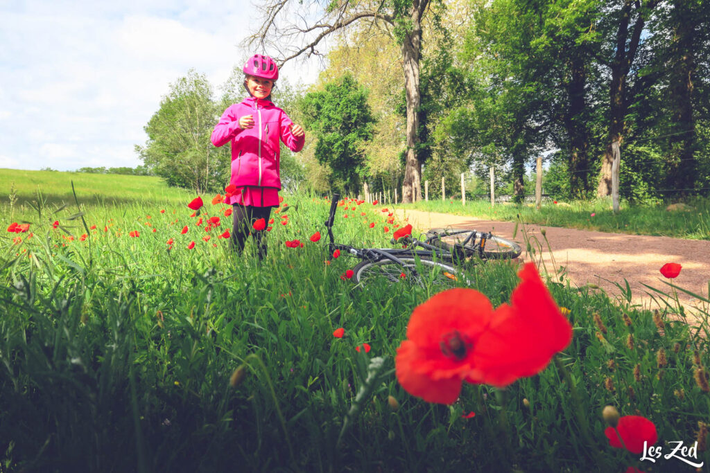 Enfant à vélo dans les coquelicots